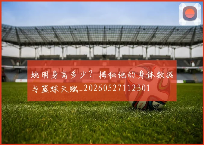姚明身高多少？揭秘他的身体数据与篮球天赋_20260527112301