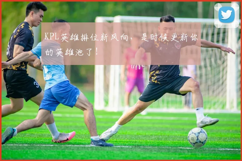 KPL英雄排位新风向，是时候更新你的英雄池了！